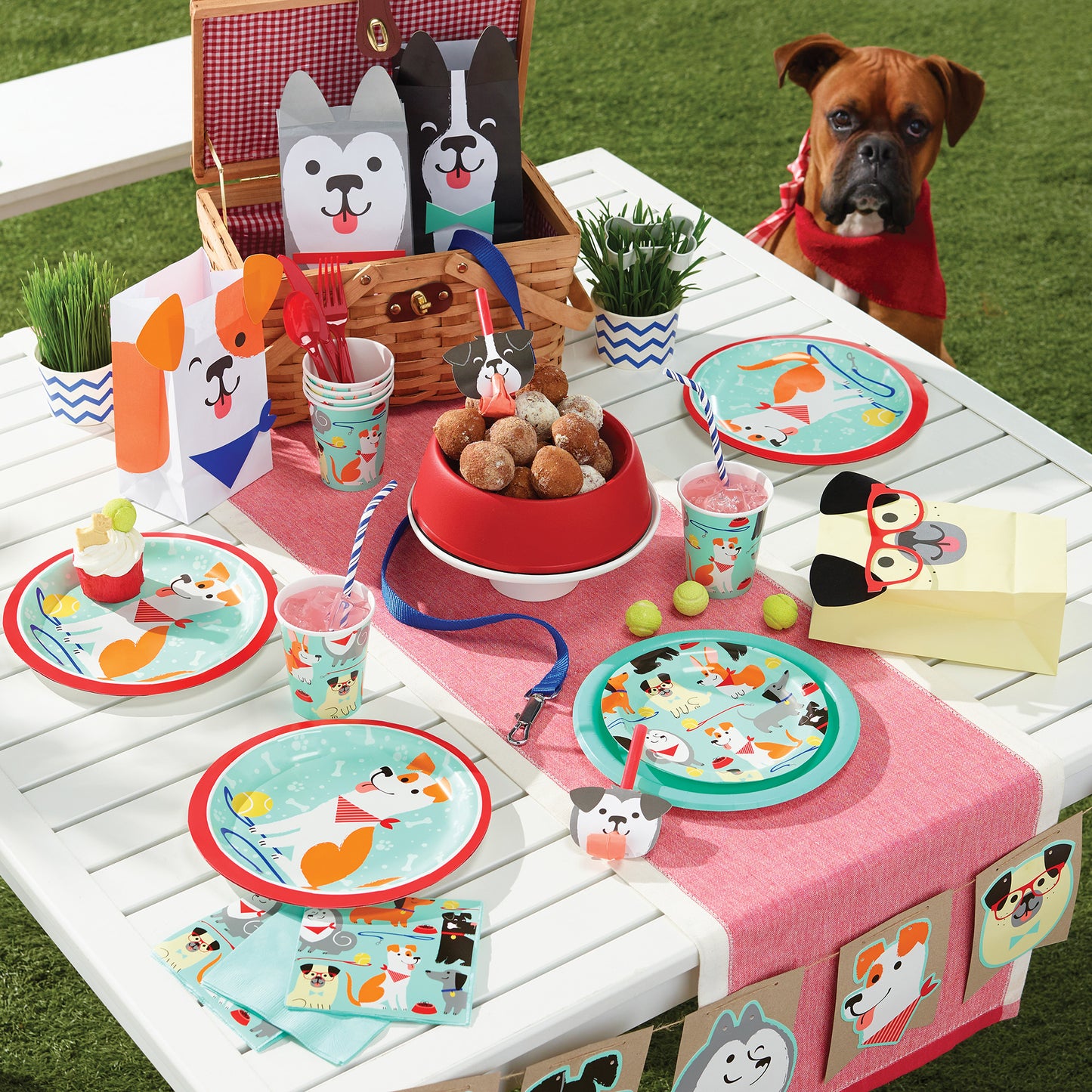 Dog Party Dessert Plates 96 ct