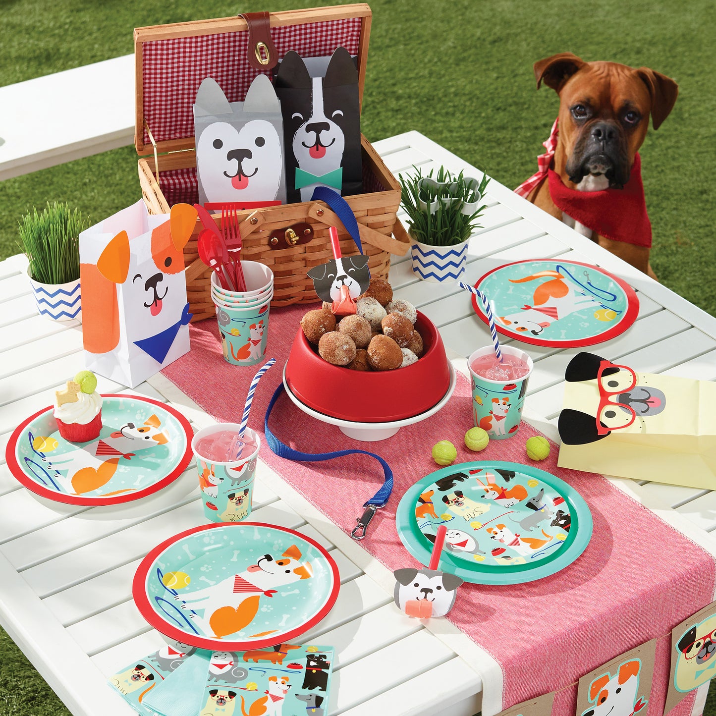 Dog Party Dinner Plates 96 ct
