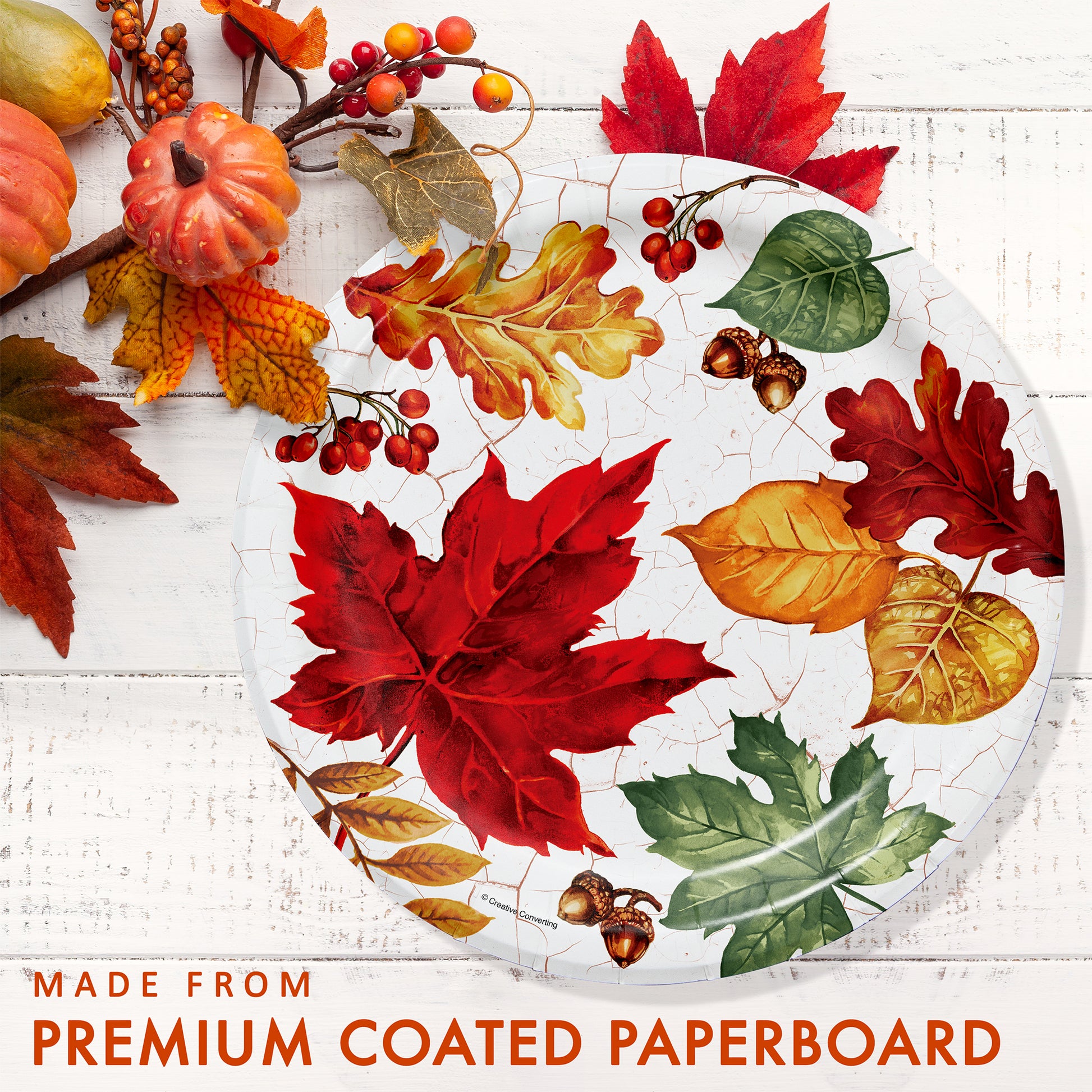 Autumn Air Dinner Paper Plates 96 ct. Decorative paper plate with autumn leaves and pumpkins on a white wooden surface.