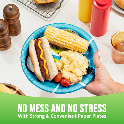 Hand holding a blue paper plate with food, including a hot dog, corn on the cob, and potatoes, with text 'No Mess and No Stress'.