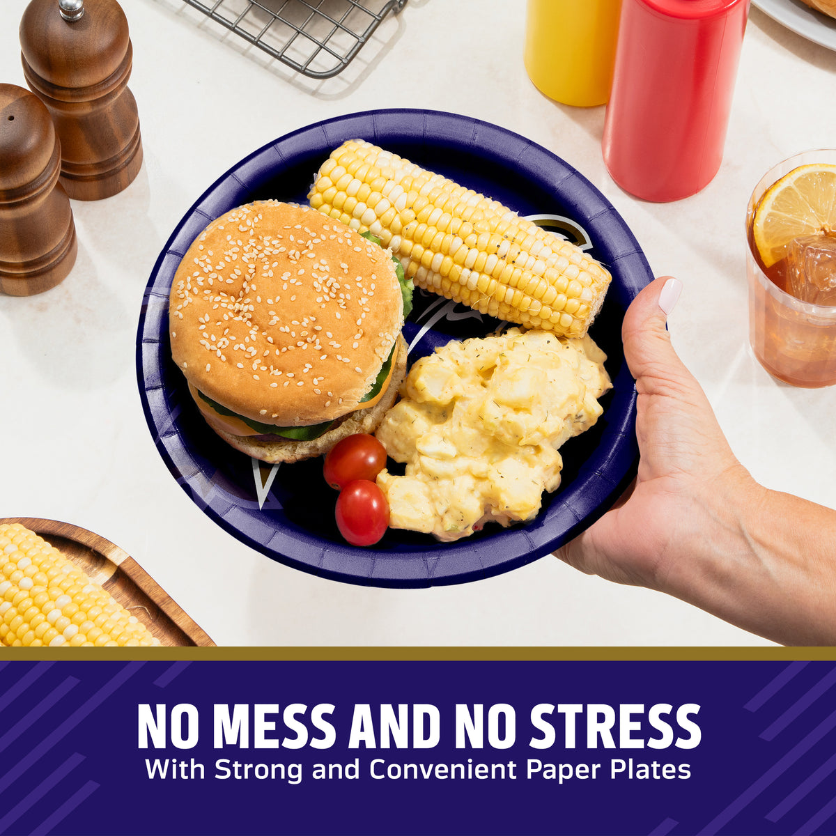 Baltimore Ravens paper plate filled with food. Includes "No Mess and No Stress" banner along the bottom.